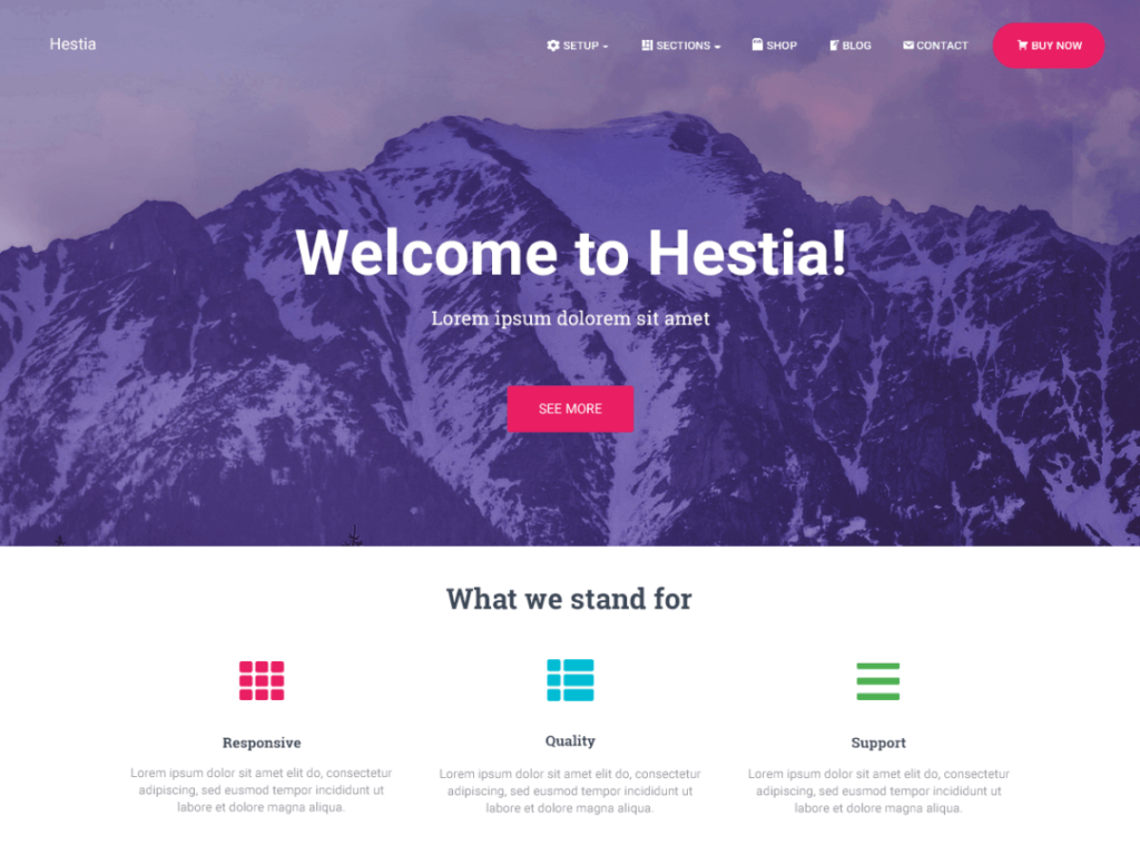 <img src="hestia.png" alt="hestia image"/>