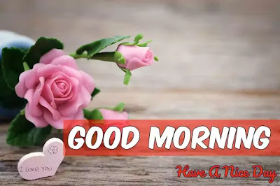 <img src="g6-1.jpg" alt="photo download ">