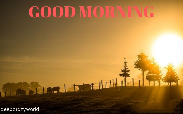 <img src="2.png" alt="good morning images download ">