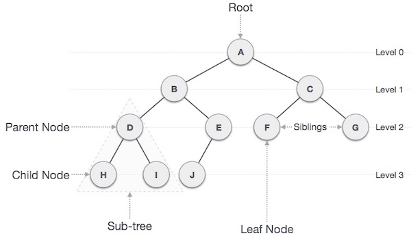 <img src="binary tree.jpg" alt="binary tree data structure">