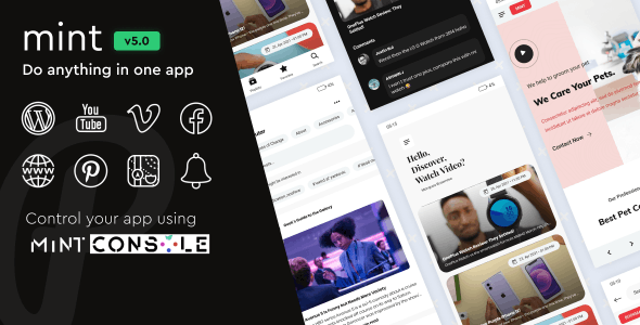 <img src="mint webview app.png" alt="Mint WebView android app">
