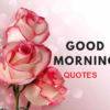 Good Morning Quotes to Help You to Start Your Day Right