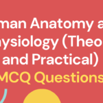 Human Anatomy and Physiology (Theory and Practical) MCQ Questions