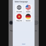 A Flutter widget for switching the locale of your app source code