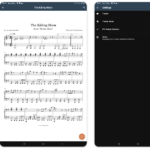 Specialized PDF reader designed specifically for music sheets